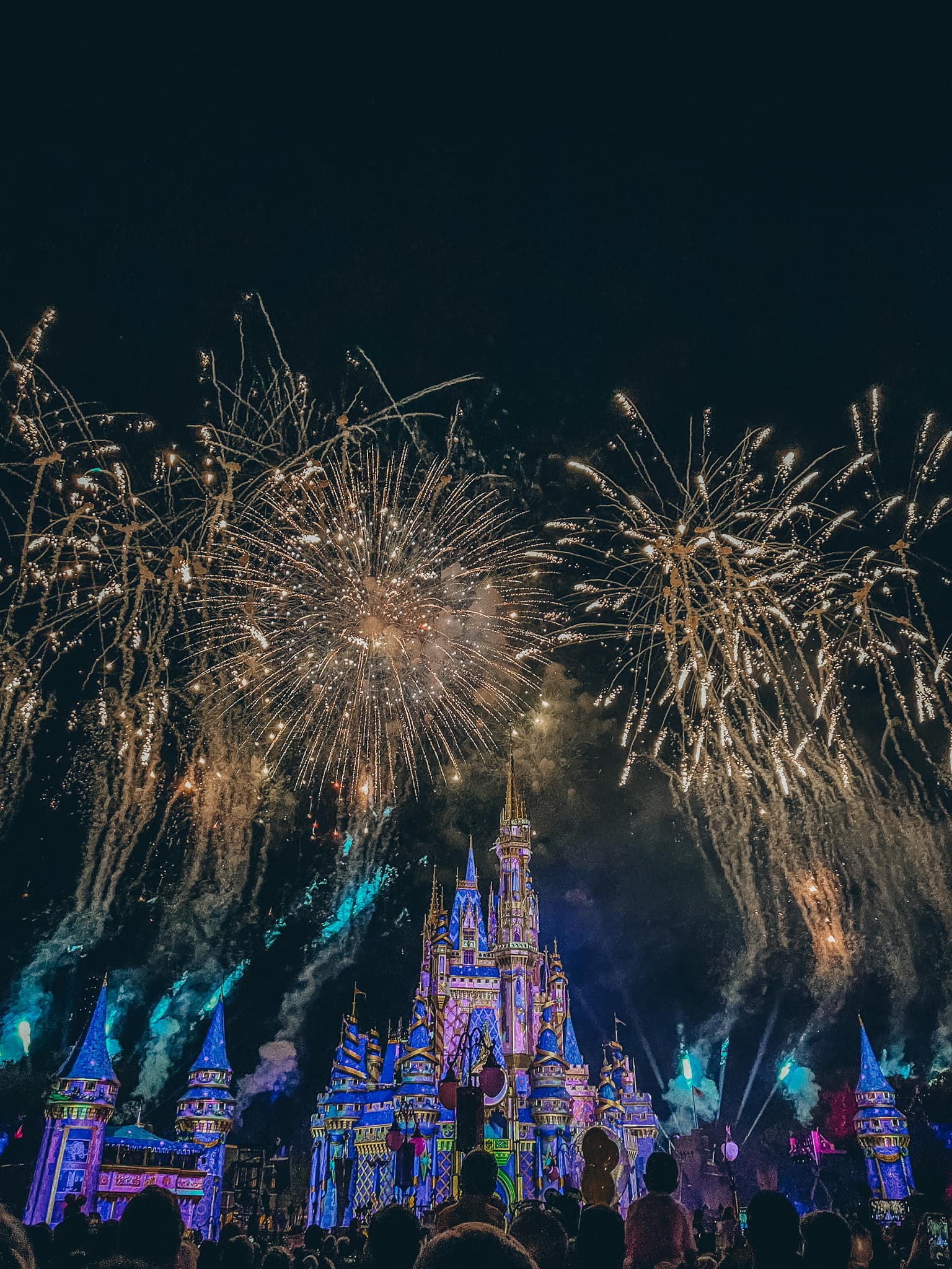 magic kingdom castle fireworks