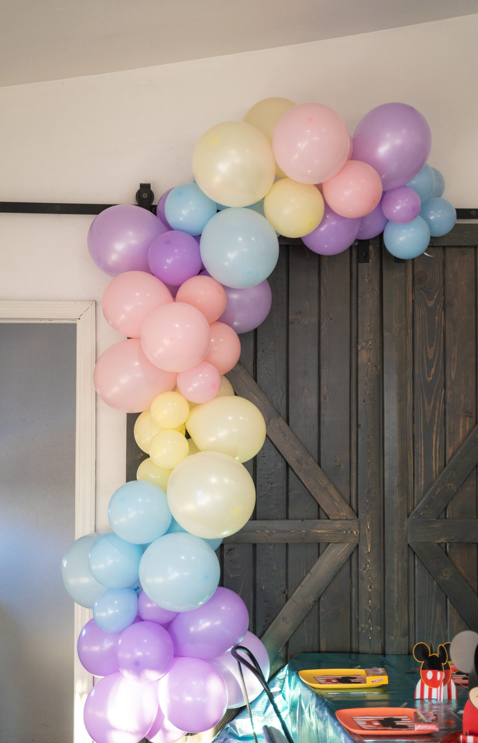 disneyland themed birthday party ideas