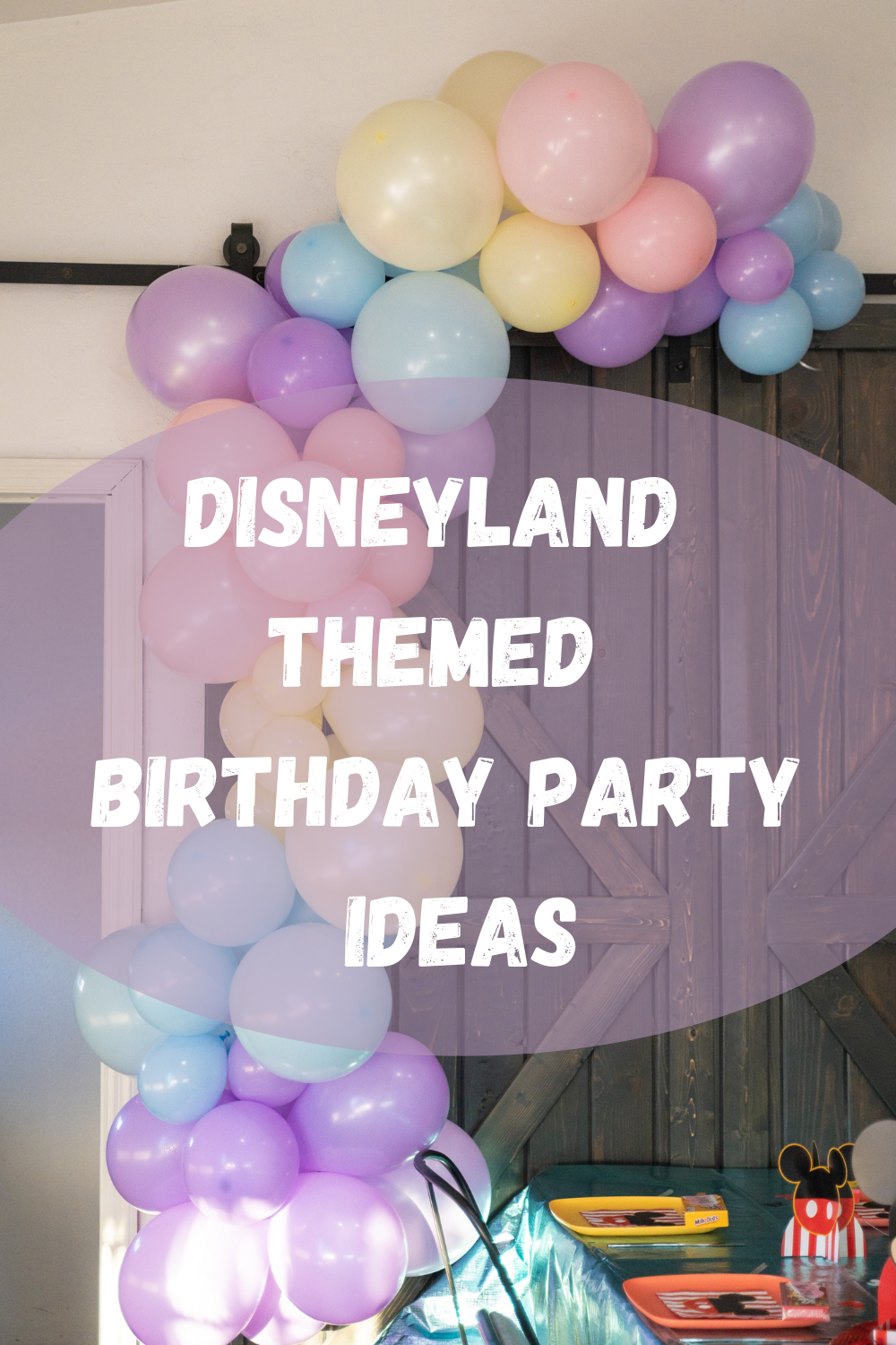 disneyland themed birthday party